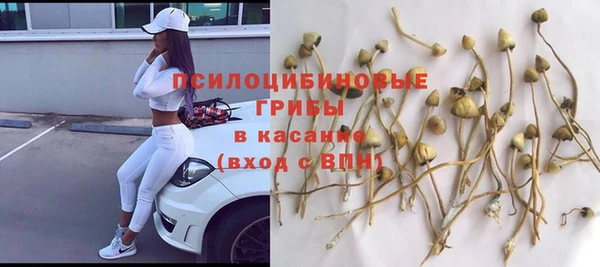 ГАЛЛЮЦИНОГЕННЫЕ ГРИБЫ Елизово