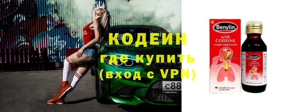 трава Ельня