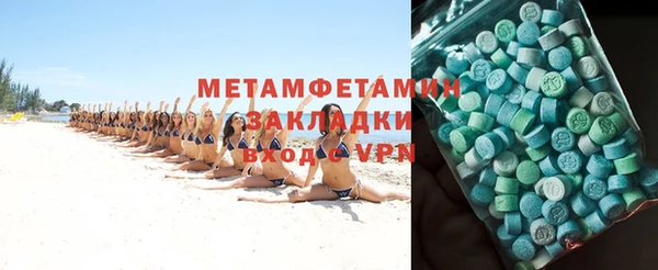 трава Ельня