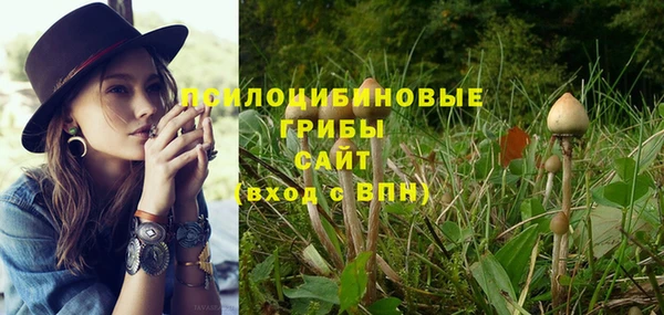 ГАЛЛЮЦИНОГЕННЫЕ ГРИБЫ Елизово
