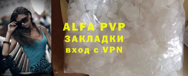 трава Ельня