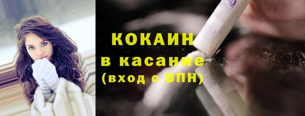 трава Ельня