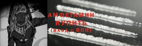 трава Ельня