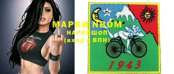 трава Ельня