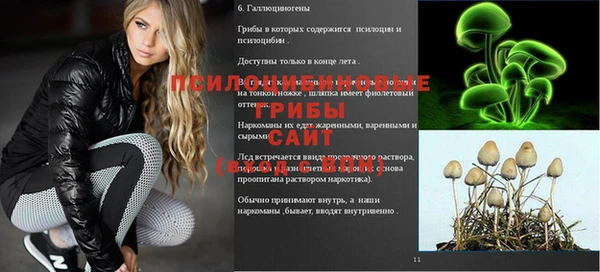 первитин Елабуга