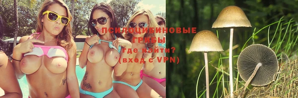 ГАЛЛЮЦИНОГЕННЫЕ ГРИБЫ Елизово