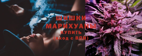 ГАЛЛЮЦИНОГЕННЫЕ ГРИБЫ Елизово