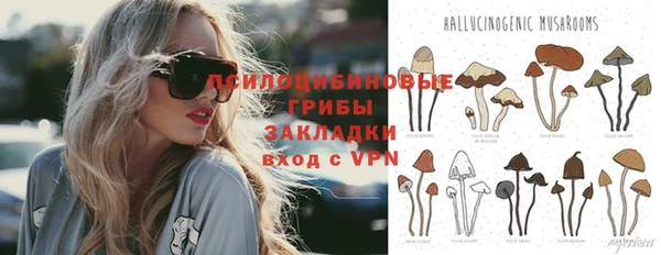 трава Ельня
