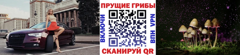Псилоцибиновые грибы ЛСД  Купить закладки  Шебекино 