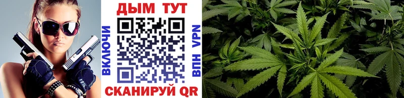 Купить где  Шебекино  Канабис семена 
